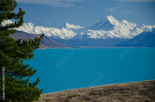 Distant view of Mount Cook across Lake Pukaki with tree on the left, South Island, New Zealand