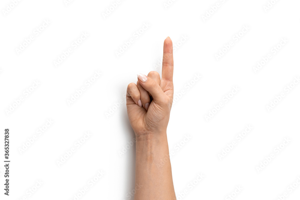 Hand holding. Woman hand isolated on white background. Female arm gesture. Digital and communication concept. Hand holding. Woman hand isolated on white background. Female arm gesture. Digital and communication concept.