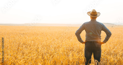 Farmer with hat on his head in the wheat field overlooking the sunset © Miha Creative