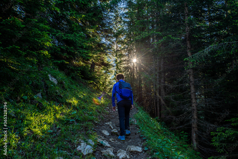 walking in the forest