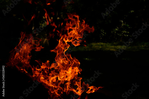 Texture of orange and red flames from a wood fire outdoors, template for graphic use of flames or fire, wallpaper and fire background isolated on black background
