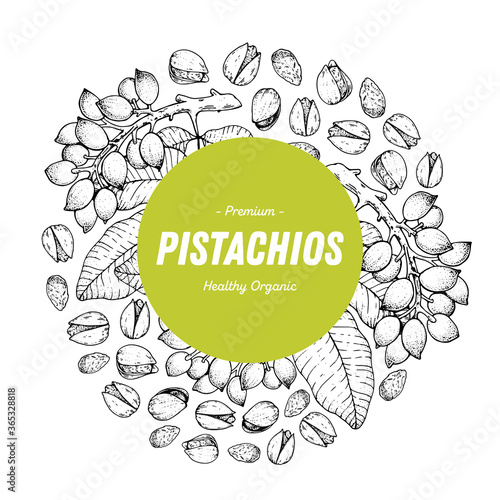 Pistachios nuts hand drawn sketch. Pistachios label, logo. Nuts vector illustration. Organic healthy food. Great for packaging design. Engraved style. Black and white color.