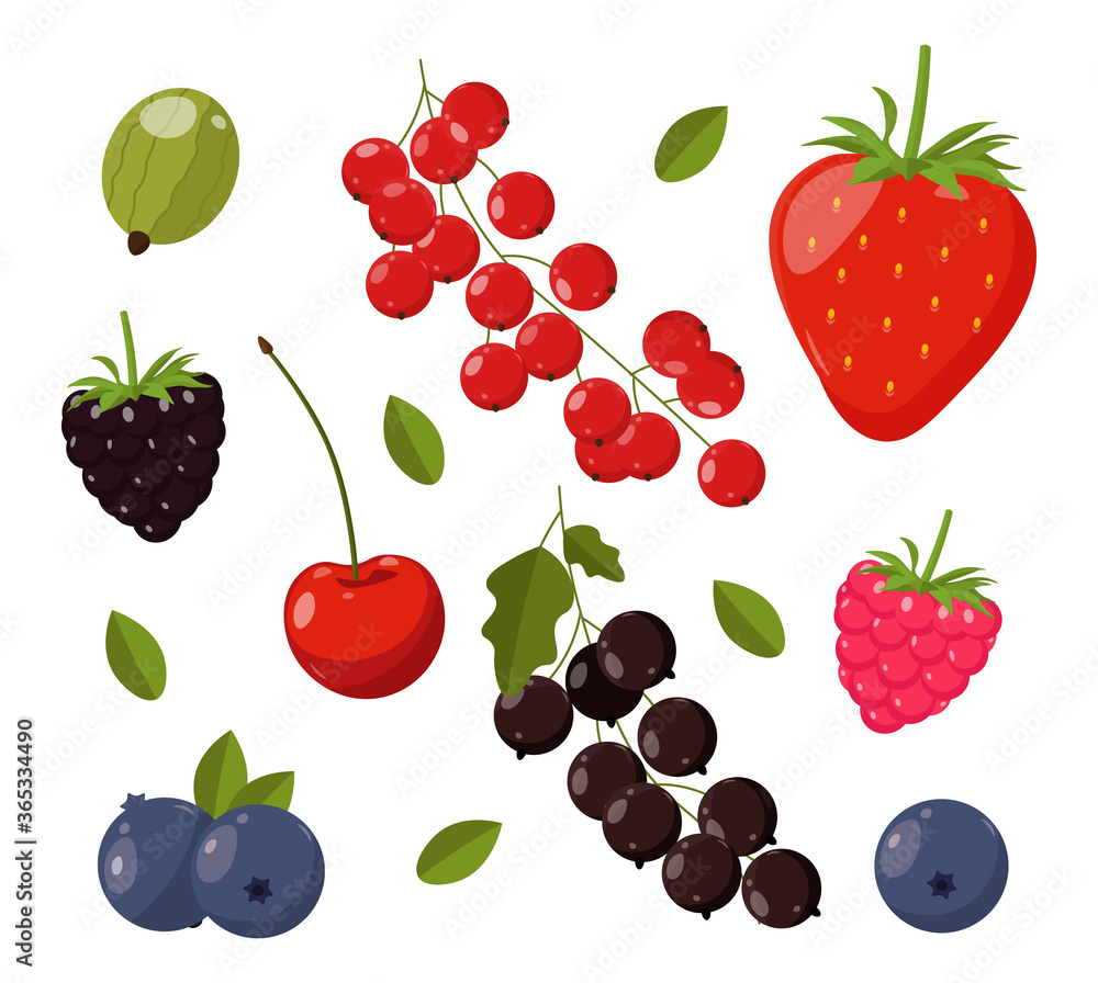 Collection of cute summer elements, tropical banner, berry set isolated, summer pattern card vector Collection of cute summer elements, tropical banner, berry set isolated, summer pattern card vector