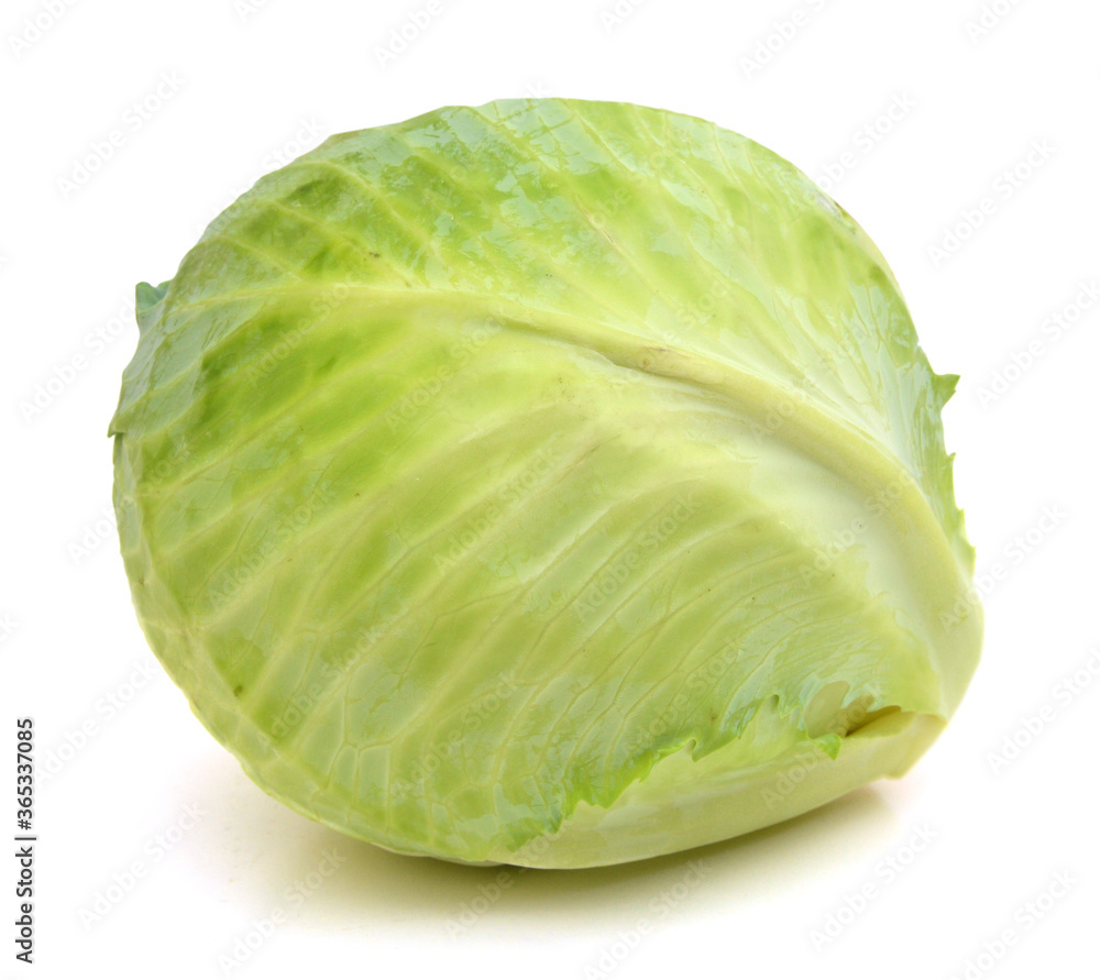 Cabbage isolated on background Cabbage isolated on background