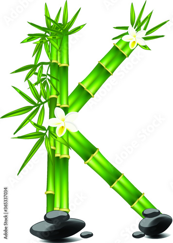 Letter K made of bamboo tree
