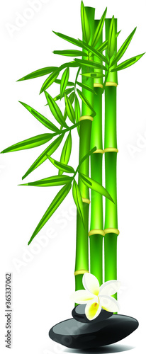 Letter I made of bamboo tree