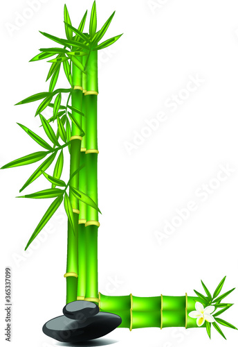 Letter L made of bamboo tree