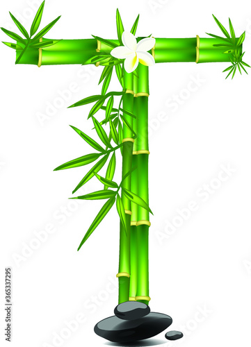 Letter T made of bamboo tree