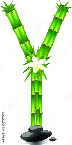 Letter Y made of bamboo tree