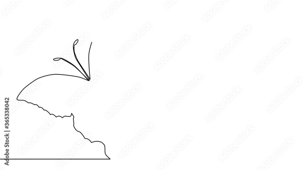 Self drawing simple animation of single continuous one line drawing butterfly. Drawing by hand, black lines on a white background. Self drawing simple animation of single continuous one line drawing butterfly. Drawing by hand, black lines on a white background.