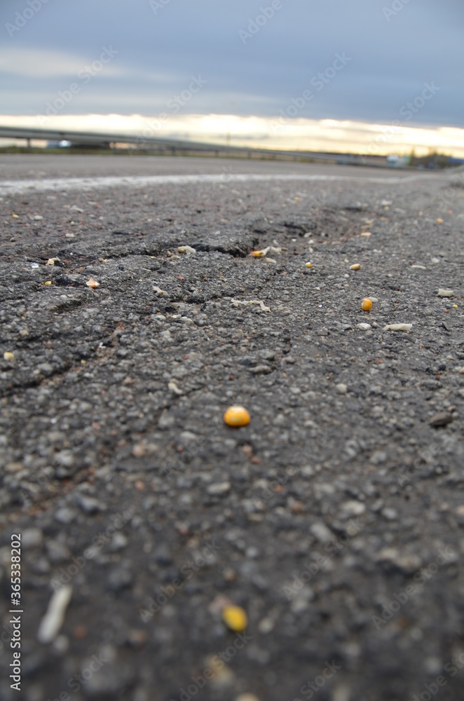 Corn grain on the road next to a passing car Corn grain on the road next to a passing car
