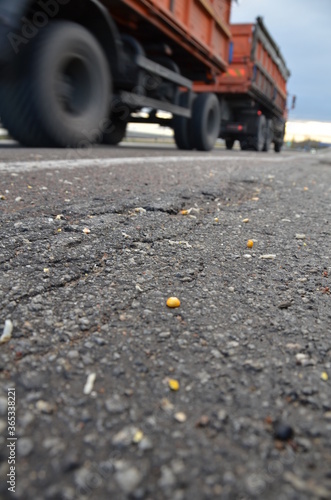 Corn grain on the road next to a passing car