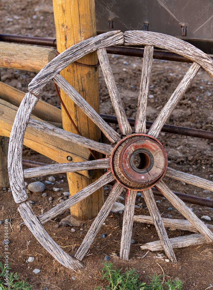Wagon wheel
