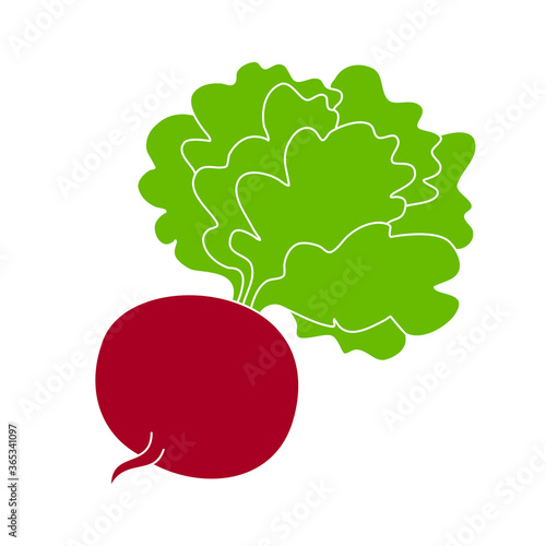 beetroot with tops, hand-drawn icon. color vector.