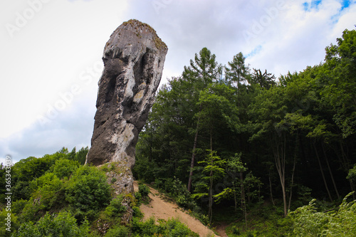 Monumental Rock Stone Limestone  Called Of Maczuga Herkulesa In The Ojcowski National Park In Poland