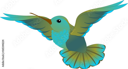 blue-green hummingbird in flight