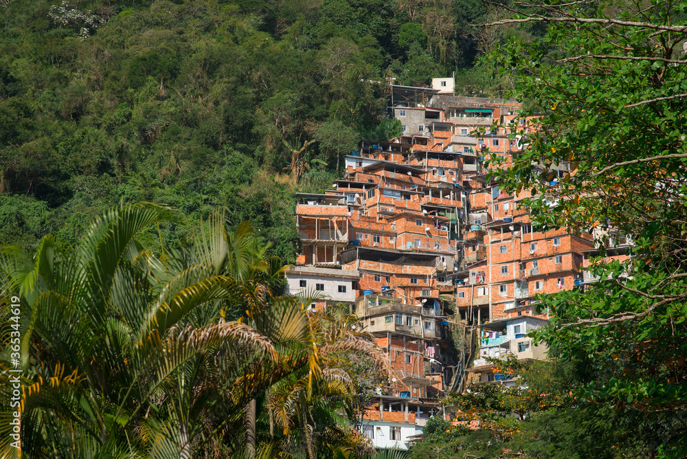 Stacked Red Brick Houses of Brazilian Favela Surrounded by Tropical Forest in Rio de Janeiro