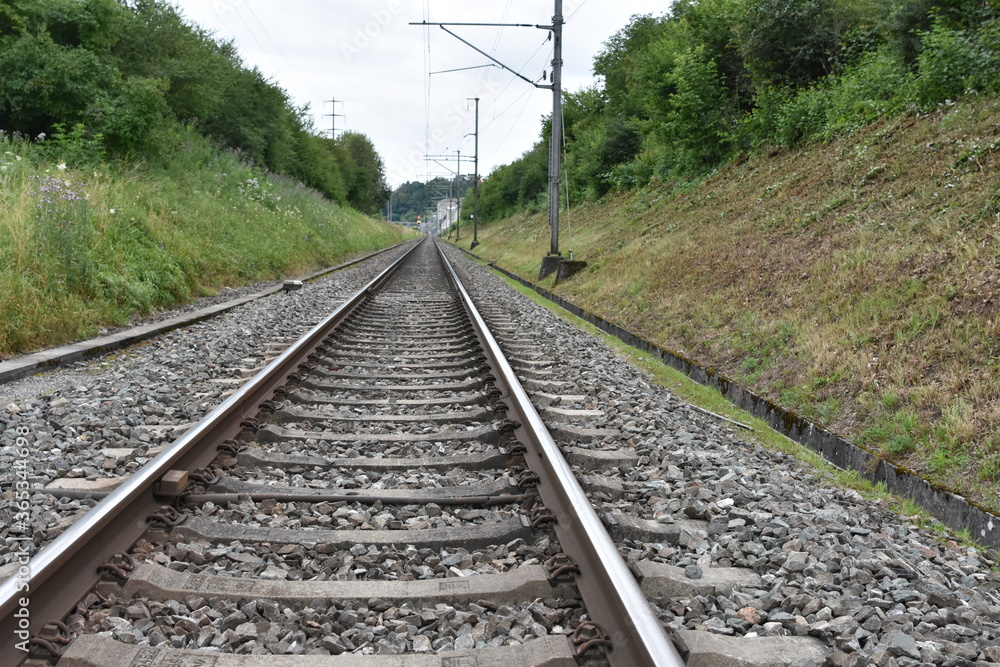 Naklejka premium Railroad tracks in ditch lined by electric posts stretching into the distance. 