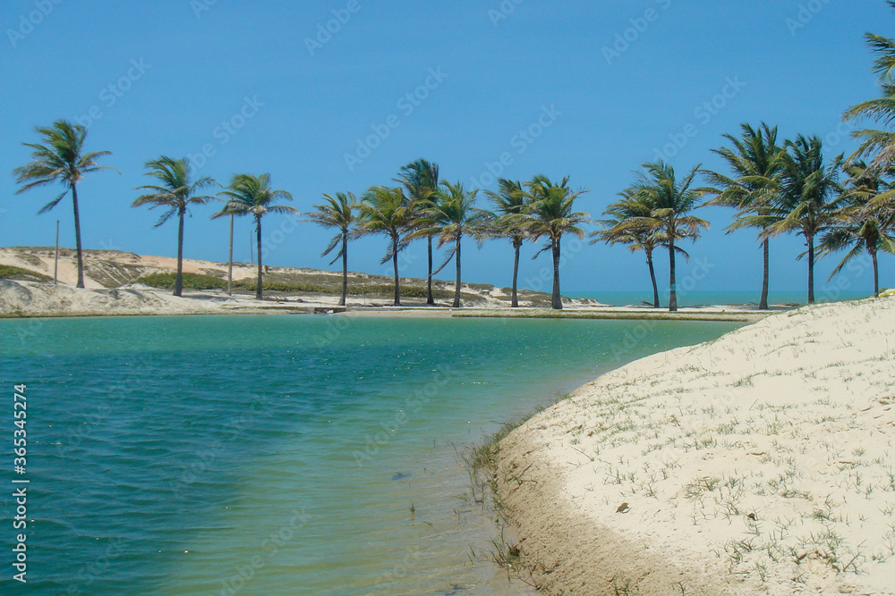 Obraz premium morro branco beach in ceara northern brazil