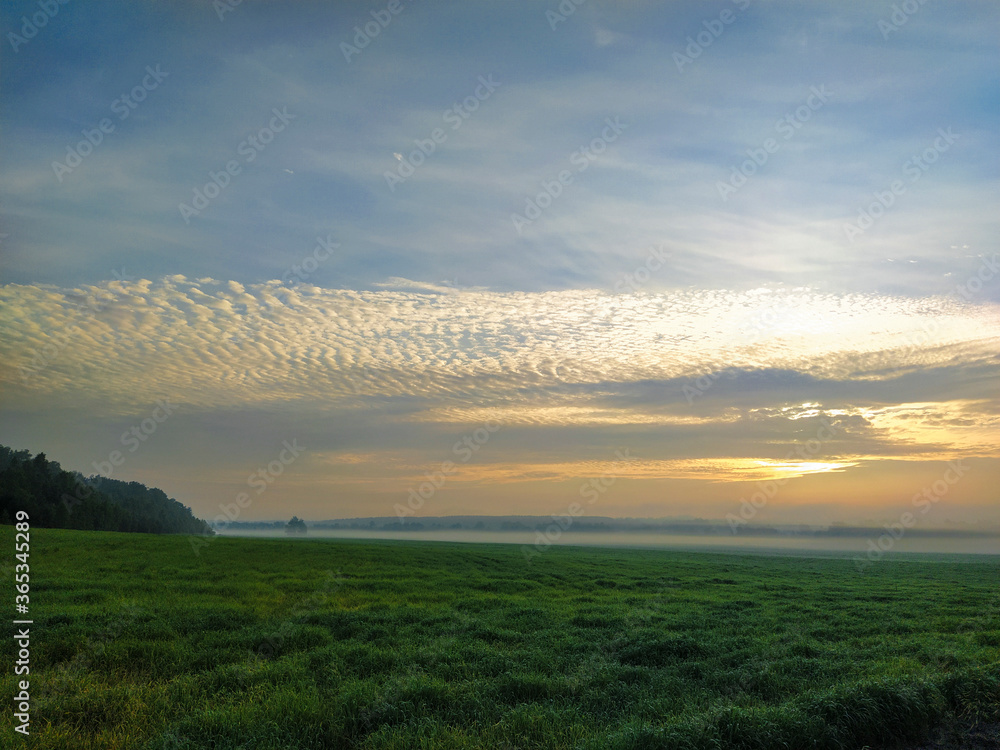Obraz premium landscape with a summer field at sunset