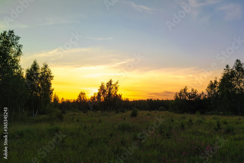 landscape with a summer field at sunset