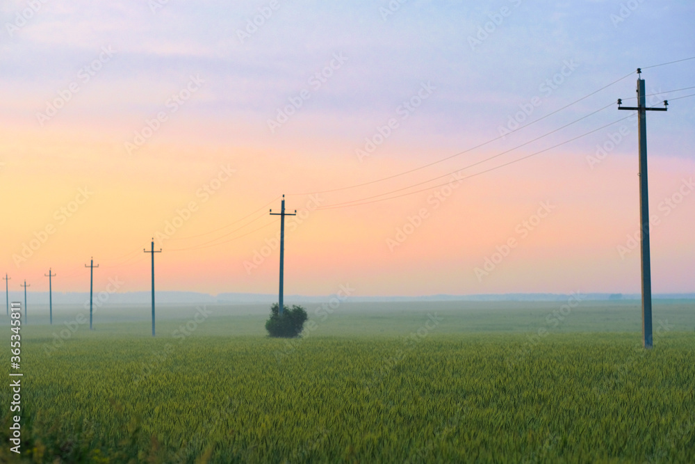 Obraz premium image of a power line on a field at sunset in summer