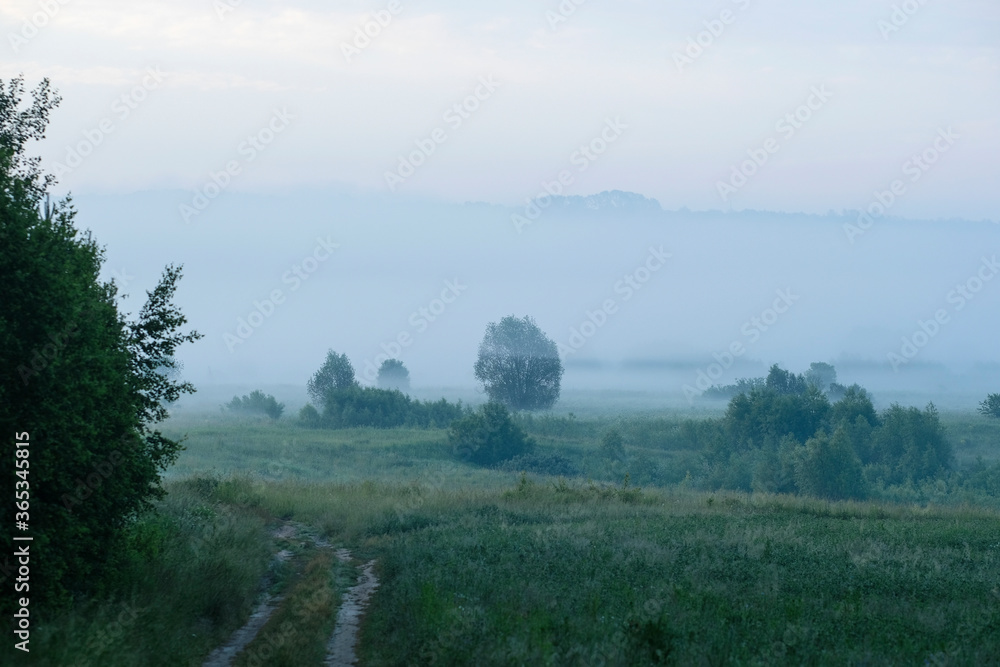 landscape with a summer field at sunset landscape with a summer field at sunset