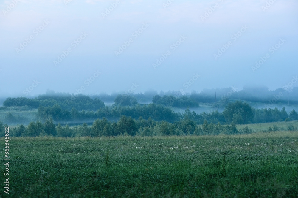 landscape with a summer field at sunset