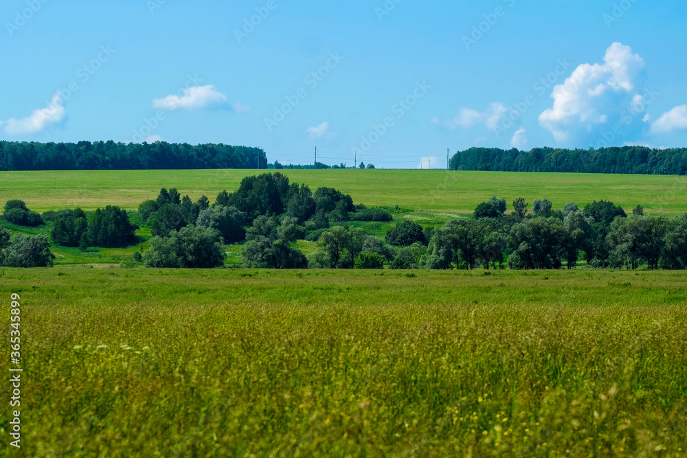 Fototapeta premium obraz letniego pola w godzinach porannych