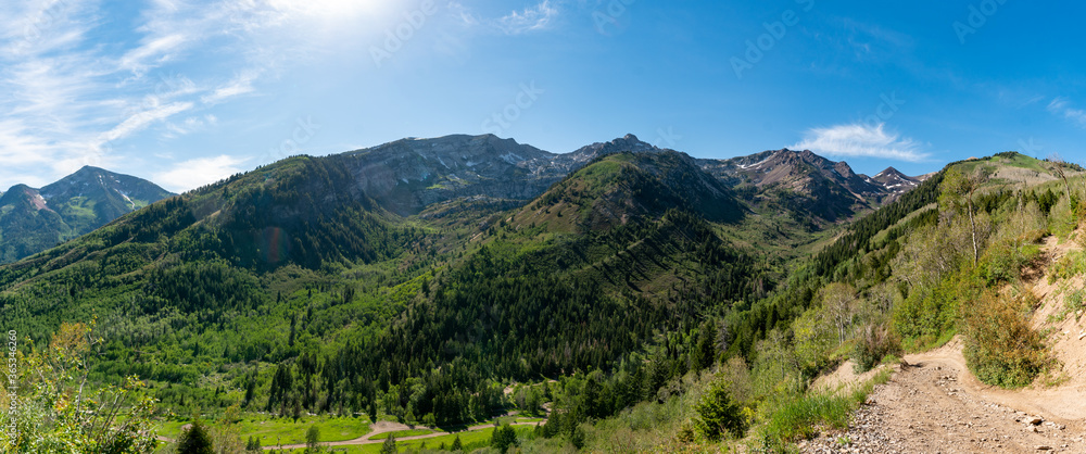 Panorama of a mountain landscape on a summer day