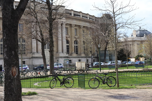 bicycles in the park