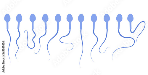 Reproductive system concept