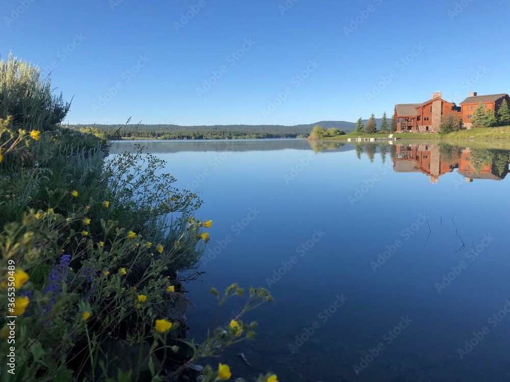 Obraz premium Smooth lake and a cabin