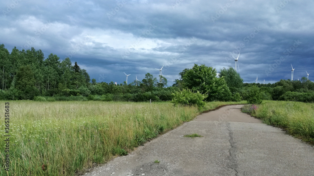 Landscape. Meadow grass, old road, clouds and wind generators.
