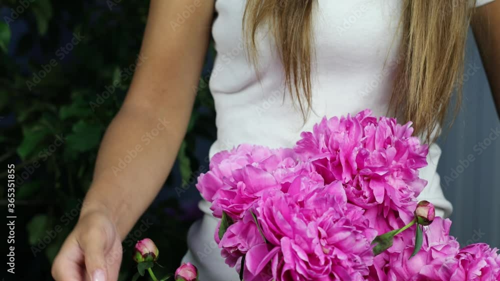 Beautiful female hands collect a bouquet of pink peonies. 4K footage. Beautiful female hands collect a bouquet of pink peonies. 4K footage.