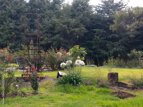 Pasto verde con arboles y flores de dia