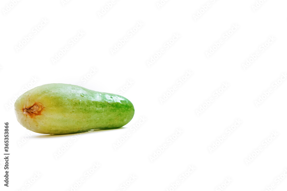 a fresh green cucumber but slightly deformed with an isolated white background with copyspace a fresh green cucumber but slightly deformed with an isolated white background with copyspace