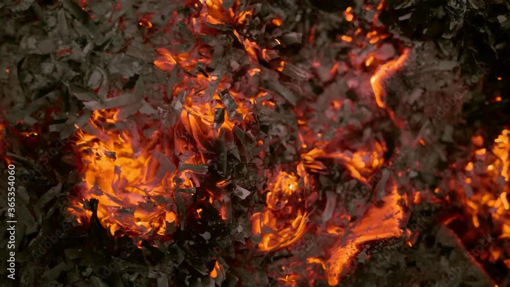 close up burning and glowing shreds of paper and chips of wood close up burning and glowing shreds of paper and chips of wood