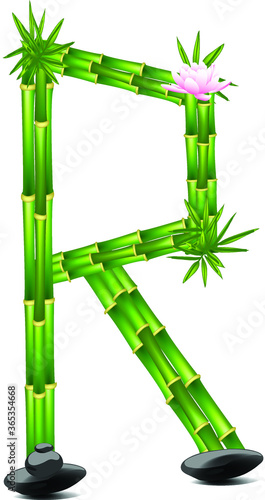 green bamboo letter R