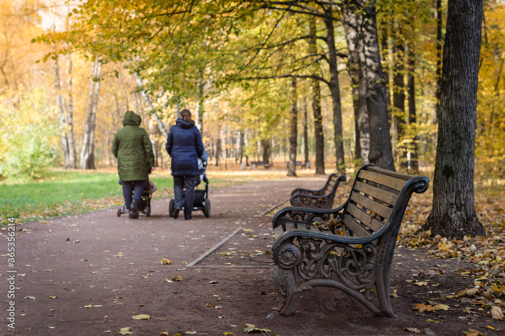 Moms with strollers are walking in an old park filled with autumn colors. Walk with babies in the fresh air.