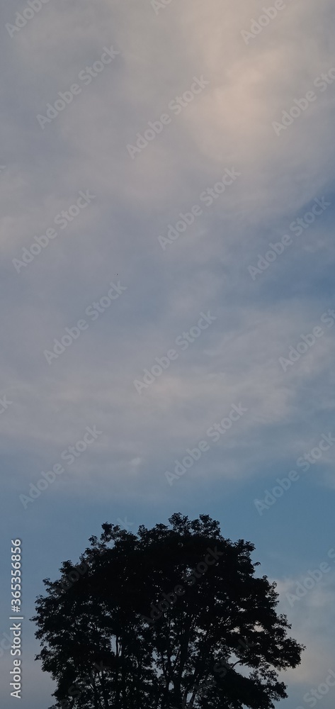 Obraz premium sunset over the lake