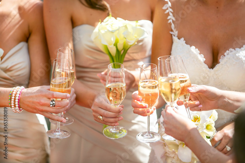 Bride and bridesmaids toasting with Champaign at a wedding reception