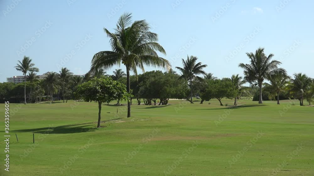 Golf cart at the golf course of Cancun hotel zone. Mexico Golf cart at the golf course of Cancun hotel zone. Mexico