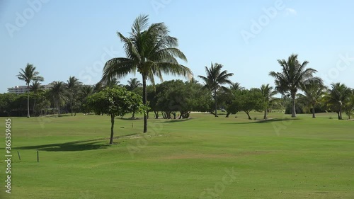 Golf cart at the golf course of Cancun hotel zone. Mexico photo