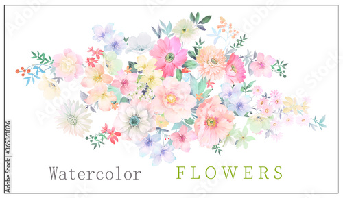 Watercolor flowers illustration