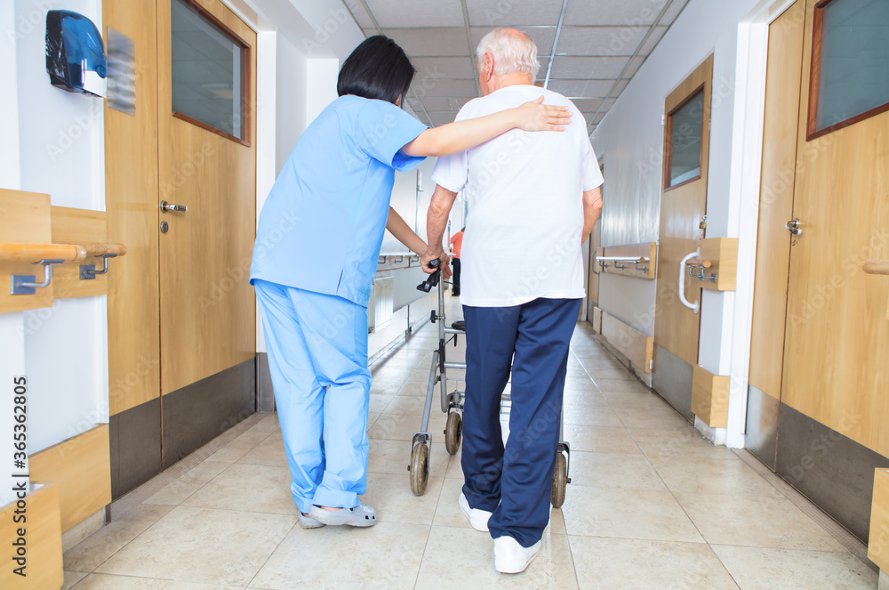 Asian nurse assisting elderly man with walker walking on the hospital floor, back view Asian nurse assisting elderly man with walker walking on the hospital floor, back view