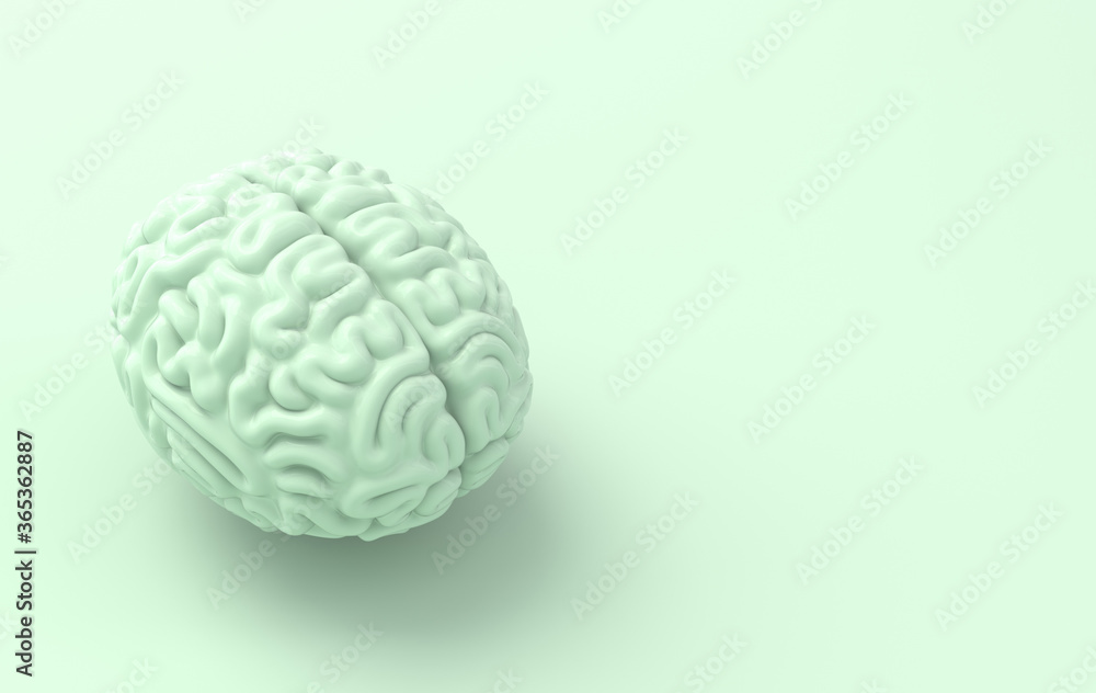 3d brain rendering illustration template background. The concept of intelligence, brainstorm, creative idea, human mind, artificial intelligence. 3d brain rendering illustration template background. The concept of intelligence, brainstorm, creative idea, human mind, artificial intelligence.