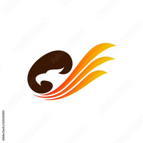 Eagle logo , Eagle logo vector template, Falcon wing logo template