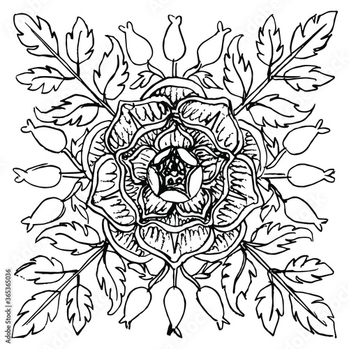 Square floral decor with wild rose flower and leaves. Black and white silhouette. Hand drawn linear rough sketch.