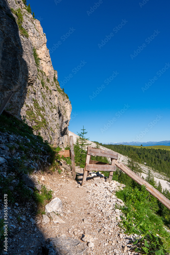 The wonderful landscape of the fence in the mountains and forest, dolomiti italy